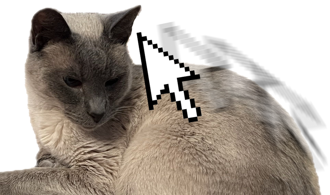 pat the cat